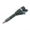 0445110044 Bosch Diesel Fuel Injector 0445110044 Bosch diesel fuel injector for Citroen Xsara XANTIA for Peugeot 306 406