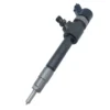 0445110244 Bosch Diesel Fuel Injector 0445110244 Bosch diesel fuel injector for Opel Astra Zafira Vectra 1.9CDTI