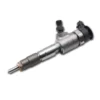 0445110739 Bosch Diesel Fuel Injector 0445110739 Bosch diesel fuel injector for Peugeot Citroen Ford Fiat 1.6 HDi TDCi