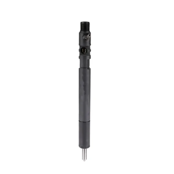 A6650170321 R04601D Fuel Injector for Ssangyong