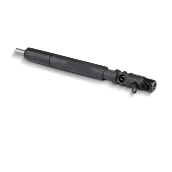 A6650170321 R04601D Fuel Injector for Ssangyong