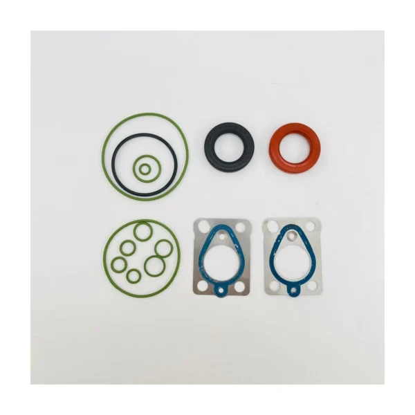 891840-558 High-Pressure Fuel Pump Repair Kit for 28447439 Pump 891840-558 Delphi High-Pressure Fuel Pump Repair Kit for 28447439 Pump