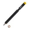 A6460700987 Delphi diesel fuel injector view 4 for Mercedes-Benz Class E/Grade C