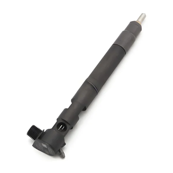 A6510701387 Delphi Diesel Fuel Injector A6510701387 Delphi diesel fuel injector for MERCEDES BENZ OM651