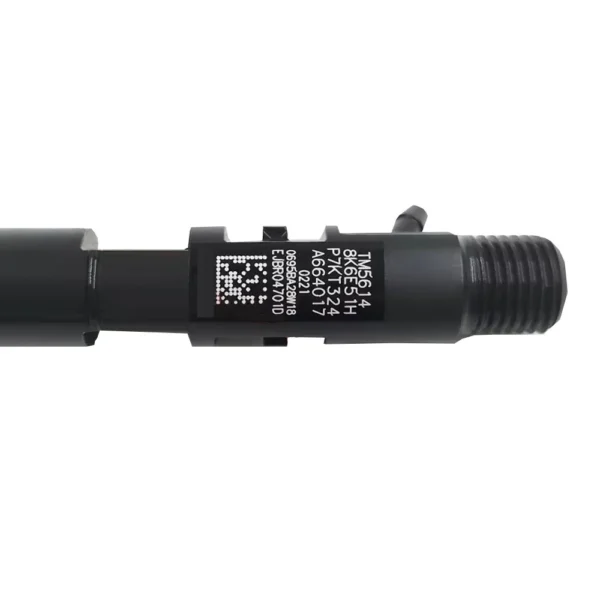A6640170221 Delphi diesel fuel injector view 2 for Ssangyong Actyon Kyron
