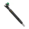 A6720170021 Delphi Diesel Fuel Injector A6720170021 Delphi diesel fuel injector for Ssangyong REXTON Y400 Korando Rodius