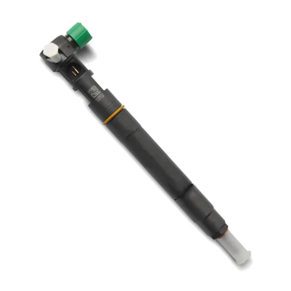 A6720170021 Delphi Diesel Fuel Injector A6720170021 Delphi diesel fuel injector for Ssangyong REXTON Y400 Korando Rodius