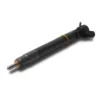 A6720170021 Delphi Diesel Fuel Injector View 2 A6720170021 Delphi diesel fuel injector view 2 for Ssangyong REXTON Y400 Korando Rodius
